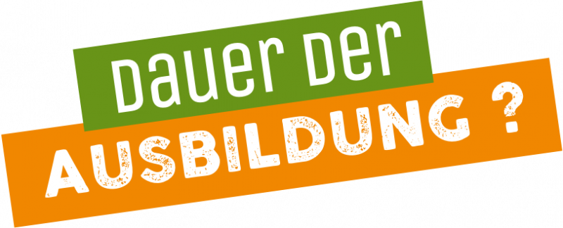 Die Ausbildung im Groß- und Außenhandel | mytopjob